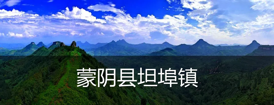 蒙阴县坦埠镇