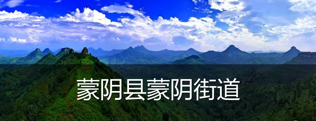 蒙阴县蒙阴街道