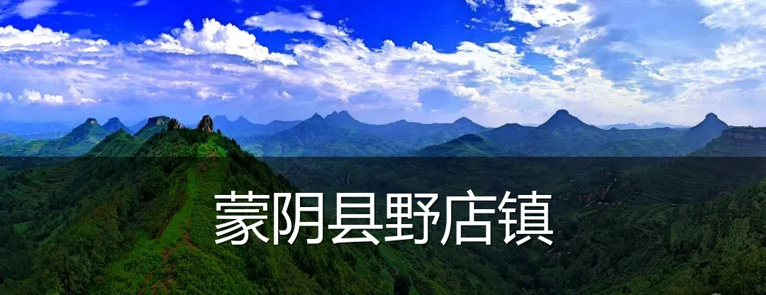 蒙阴县野店镇